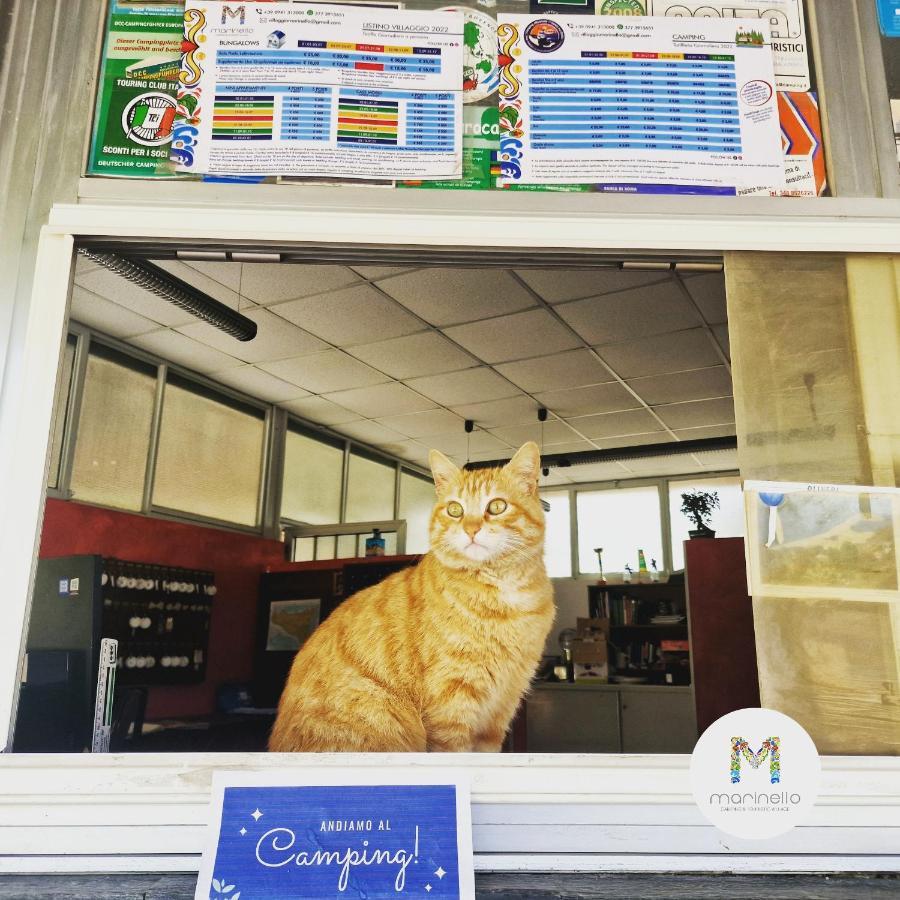 Marinello Camping & Touristic Village オリヴェーリ エクステリア 写真